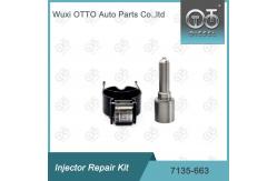 China 7135-663 Delphi Injector Repair Kit Nozzle-Valve Kit Nozzle-CVA Kit supplier