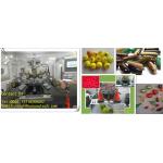 Liquid filling Softgel Encapsulation Equipment  factory Pharmaceutical With PLC Control