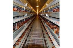China Reduced Environmental Pollution Strong Wind Resistance Prefabricated Steel Structure Chicken House supplier