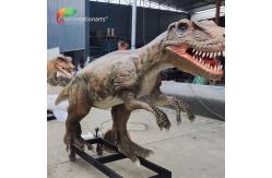 China 4Meters Life Size Animatronic Dinosaurs Sunproof Allosaurus Model For Exhibition supplier