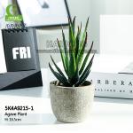 16.5cm Mini Artificial Succulents