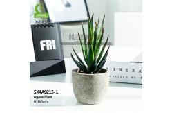 China 16.5cm Mini Artificial Succulents supplier
