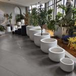 Revolutionize Your Planting Process with Our Fiber Clay Planter at Affordable Prices