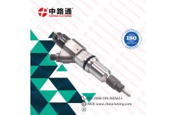 China Common Rail Injector for 3126B Engine 0 445 120 157 common rail injector for ford supplier
