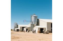 China Prefab Steel Structure Poultry House Customized Steel Frame Chicken Coop supplier
