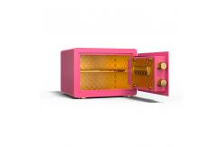 China H250mm Solid Bolts Home Safe Box Fingerprint Lock With Hammer Surface treatment supplier