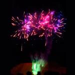 Consumer Cake Fireworks 98 Shots Pyrotechnics Outdoor Fireworks 2025 Online Direct for sale