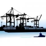 LCL Container Shipping Payment Varies By Service Provider Packing Loading Available for sale