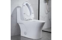China Round Front One Piece Skirted Toilet Dual Flush Elongated Fully Skirted CUPC supplier