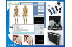China Bioresonance Therapy Health Analyzer Machine , Quantum Bio feedback supplier