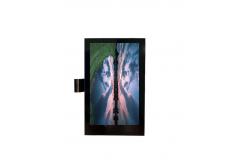 China 4 Inch TFT IPS Capacitive Touchscreen St7789 LCD Display 480x800 Full View supplier