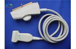 China Siemens Acuson L5 38mm Liner Array Vascular Ultrasound  Transducer/ Imaging System supplier