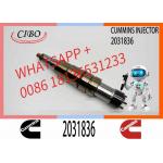 2029622 Genuine Diesel Common Rail Fuel Injector 1948565 2030519 2031836 2031835 2086663