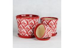 China Unique Ceramic Pots For Distinctive And Eye-catching Plant Collection supplier