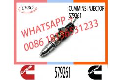 China Diesel Injector 570016 4954646 4076963 4903028 1481827 1521978 1764365 579261 supplier