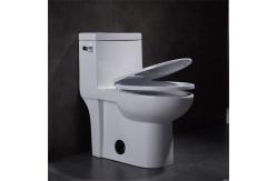 China 1 One Piece Elongated Toilet 15 Height Ceramic Wc Syphon Seamless Porcelain supplier