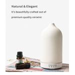 HOMEFISH PP Ceramic Aromatherapy Ultrasonic Aroma Humidifier 2.4MHz