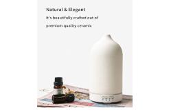 China HOMEFISH PP Ceramic Aromatherapy Ultrasonic Aroma Humidifier 2.4MHz supplier