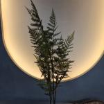 Artificial Green Plastic Palm Trees for Indoor/Outdoor Use for sale