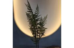 China Artificial Green Plastic Palm Trees for Indoor/Outdoor Use supplier