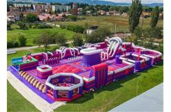 China Durable Inflatable Theme Park With PVC Tarpaulin Material Purple And Blue supplier