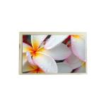 TX18D37VM0AQA 7.0 inch Touch LCD screen for Industrial for sale