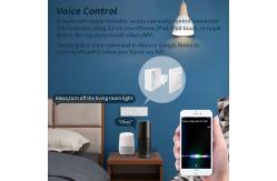 China White Wireless Smart Dimmer Homekit Humidity Control ≤85%RH 16A Homekit Wifi Switch supplier