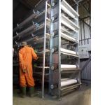 Healthy Galvanized Poultry Chicken Broiler Cage 1250 Type Frame for sale