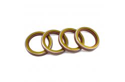 China TCN Skeleton Oil Seal  NBR Nitrile Rubber  AP Oil Seal  With Spring supplier