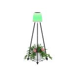 0.2W Solar Christmas Decorative Lights 0.3kg Inner Box Size 22*20*40.5CM G.W 1.9KG for sale