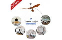 China 3 ABS Blade 52 Inch Plastic Ceiling Fan DCF FS52901 Energy Saving supplier