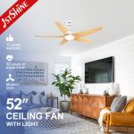 OEM Smart App Control LED Plastic Blade Ceiling Fan With light Modern Indoor Decoration for sale