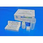 40T/Kit Pre Stained Slides One Step Violet Staining For Sperm / Blood Cell Morphology for sale