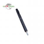 Diesel Fuel Injector EJBR04001D 166009384R for Delphi Engine