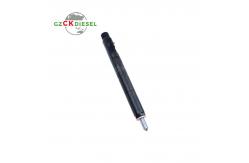 China Diesel Fuel Injector EJBR04001D 166009384R for Delphi Engine supplier