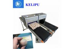 China Industrial Safety Edible Ink Batch Coding Inkjet Printer For Food Package Eggs supplier