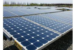 China High Conversion Poly Crystalline Solar Panel 300 Wp Long Life Span supplier