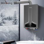110V-220V Electrical Voltage Balanced Flue Water Heater with Intelligent Type and Oxygen-free Copper Heat Exchanger for sale