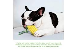 China Toxic Free Squeaky Dog Toys TPR Chew Toys For Aggressive Chewers supplier