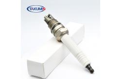 China Jenbacher  P7 .1 V5 351000  P7 .1 V6 382195  Generator Spark Plug supplier