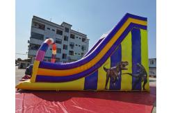 China Playground Jumping Inflatable Slide Bouncer For Birthday Party supplier