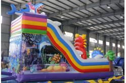 China Custom Printed Inflatable Dry Slide with Bouncy Castle Design for Kids Events supplier