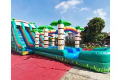 China Long Palm Tree Bounce House Pool Inflatable Water Slide supplier