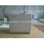Lab Cabinet HK / Lab Cabinet Thailand / Lab Cabinet Storage Singapore for sale