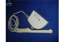 China Siemens X300 EV9-4 Endocavity Transducer Echo Scanner supplier