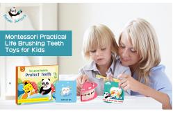 China Stimulation Right Brain Training Flash Cards , Brush Teeth Preschool Learning Toys supplier