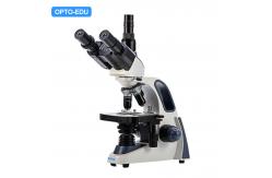 China A11.1171-T Wf25x Compound Optical Microscope Biological supplier