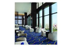 China Bule Series Wilton Polypropylene Carpet For Bar Playroom With Wear Resisting supplier
