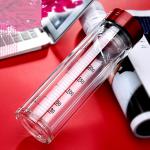 Portable Double Wall Glass Water Bottle With Strainer / Rubber Seal Durable