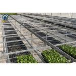 Greenhouse Moveable Mesh Seed Bench Rolling Nursery Seedbed With Aluminum Alloy Frame for sale